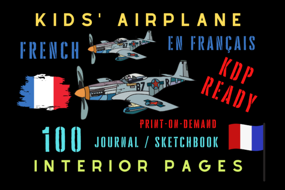 Kids Airplane KDP Interior French: Selecting the Right Layout for Young Aviators